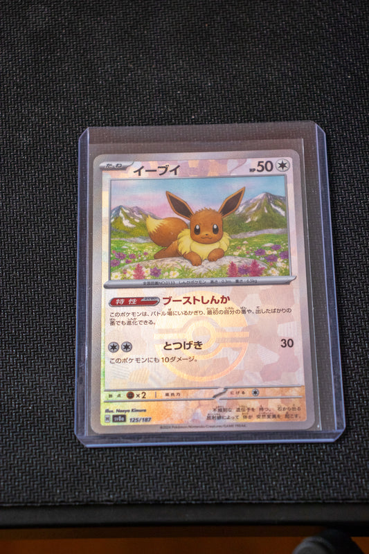 Evoli Pokéball