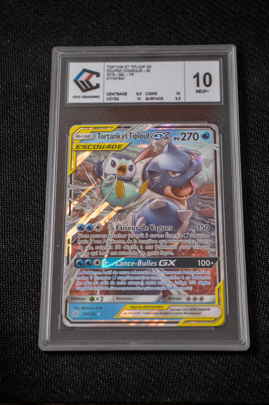 Tortank et Tiplouf